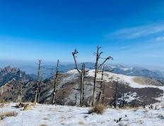 兵马团再登巅峰，成都击败南方战队